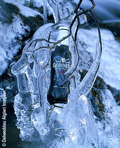 Photographs - Guinnes. Extra Cold on Ice.