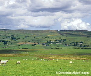 Photographs - Cefn Brith Glasfryn Cerrig-y-Drudion