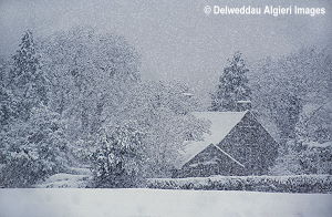 Photographs - Snow scene Conwy Valley
