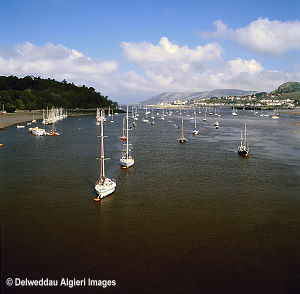 Photographs - Conwy Harbour