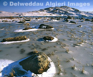 Photographs - Llyn Cwmffynnon