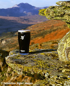 Photographs - Draught Guinness