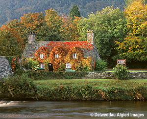 Photographs - Tu Hwnt i'r Bont Llanrwst