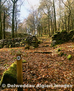 Photographs - Crafwyn Beddgelert