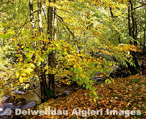 Photographs - Afon Conwy