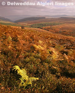 Photographs - Berwyns