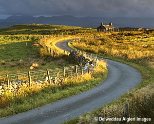 Photographs - Bryn y Gwynt, Conwy Valley