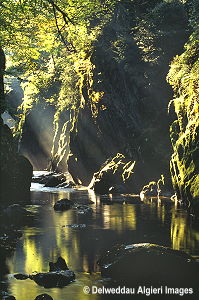 Photographs - Fairy Glen