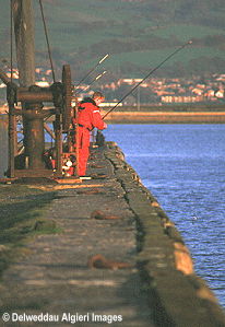 Photographs - Fishing