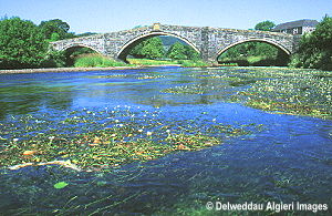 Photographs - Bridge in Llanrwst