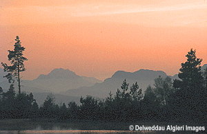 Photographs - Evening Mountain View