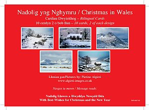 Bilingual Christmas Cards - Bilingual Christmas Cards