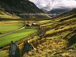 Free Wallpapers - Maes Caradog