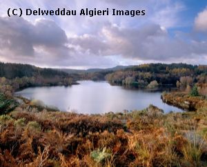 Photographs - Llyn Elsi