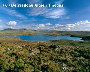 Photographs - Llyn Conwy