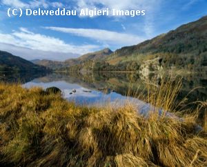 Photographs - Llyn Gwynant