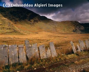 Photographs - Cwmorthin slate fence