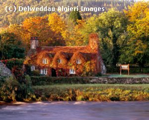 Photographs - Tu Hwnt i'r Bont Llanrwst