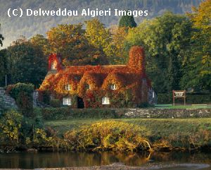 Photographs - Tu Hwnt i'r Bont Llanrwst