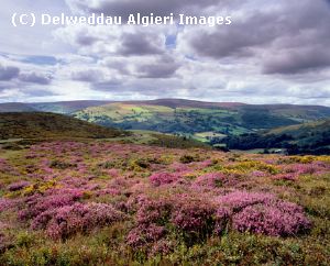 Photographs - Llantysilio