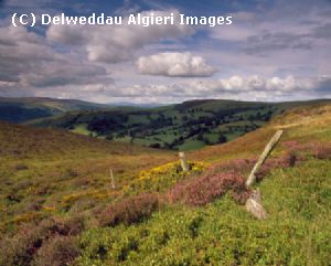 Photographs - Llantysilio Dee Valley