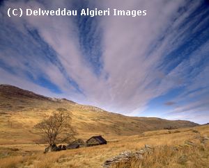 Photographs - Cors y Ceffylau Dyffryn Mymbyr