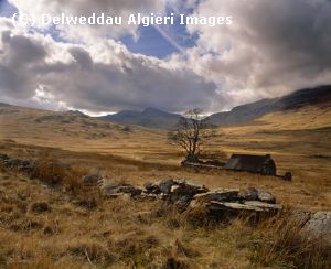 Photographs - Cors y Ceffylau Capel Curig