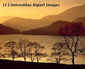Photographs - Llyn Gwynant