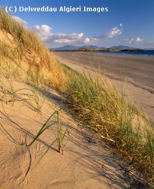 Photographs - Newborough