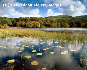 Photographs - Llyn Tecwyn Isaf