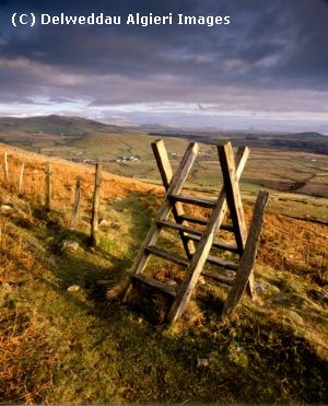 Photographs - Style Pen Lleyn