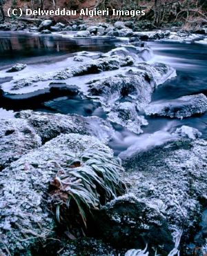 Photographs - Ice Blue