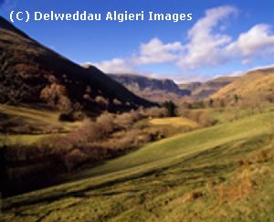 Photographs - Cwm Cywarch