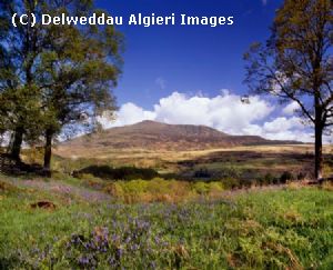 Photographs - Moel Siabod