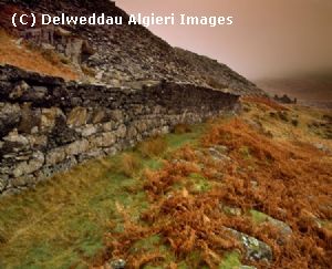 Photographs - Gorseddau Quarry