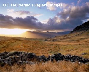 Photographs - Moelwynion