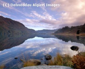 Photographs - Llyn Dinas