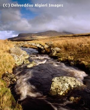 Photographs - Afon Tai Hirion