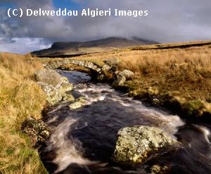 Photographs - Afon Tai Hirion