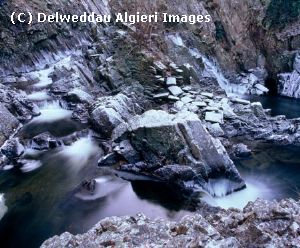 Photographs - Conwy Falls