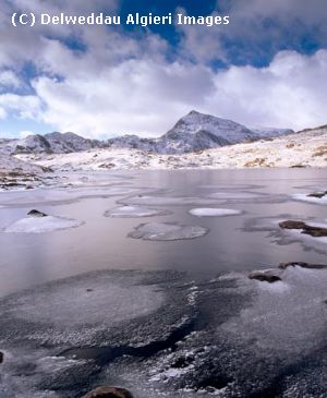 Photographs - Llyn Cwmffynnon