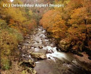 Photographs - Aberglaslyn