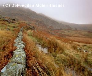 Photographs - Cwmystradllyn