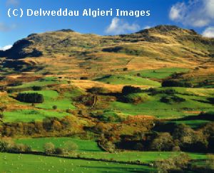 Photographs - Cwm Pennant