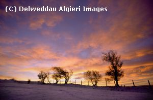 Photographs - Yr Oerfa