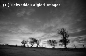 Photographs - Yr Oerfa b&w