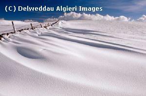 Photographs - Snowdrift