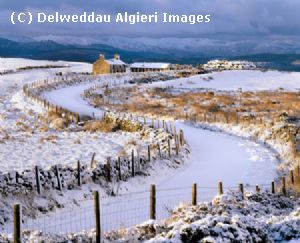 Photographs - Bryn y Gwynt Winter