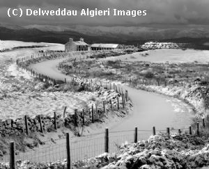 Photographs - Bryn y Gwynt Winter b&w