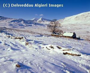 Photographs - Cors y Ceffylau